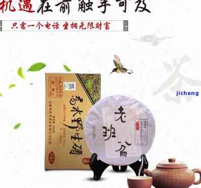 小老头普洱茶，品味古老韵味：探索小老头普洱茶的魅力