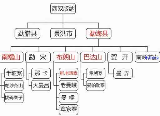 南等普洱茶：口感与分类全面解析