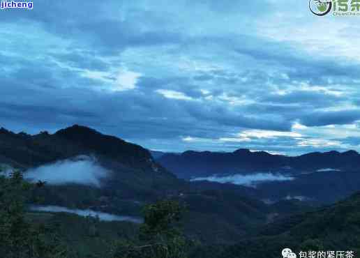 普洱茶源头在哪里，探寻普洱茶的起源地：揭秘普洱茶源头在哪里