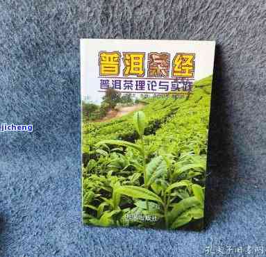 普洱茶本草经-普洱茶 本草纲目