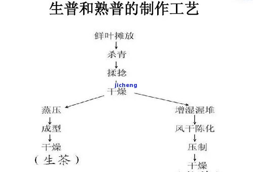 普洱茶发酵水：由什么制成？详解原理与制作方法