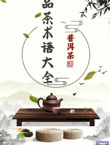 普洱茶品茶词语全解析：从基础到高级，一网打尽