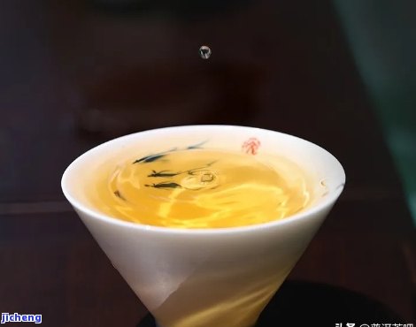 普洱茶品茶术语，探索普洱茶的世界：品茶术语全解析