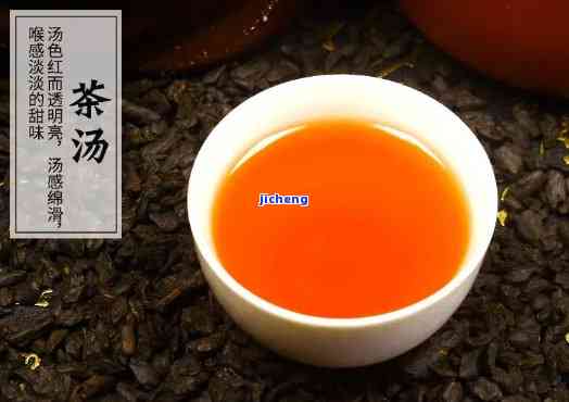 君享普洱茶怎么样，深度解析：君享普洱茶的品质与口感究竟怎样？