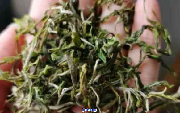 露茶价格：多少钱一斤？最贵价格是多少？