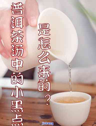 普洱茶黑点多-普洱茶黑点多正常吗