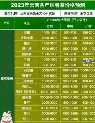 普洱茶价格2020-2023全览：最新趋势与展望