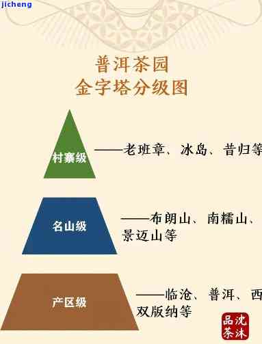 普洱茶叶分几个等级，探究普洱茶叶的等级划分：从初级到高级，你需要知道的一切