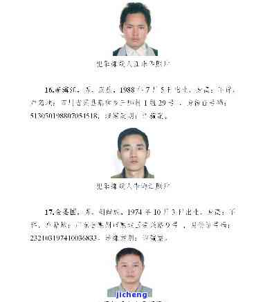 欠信用卡被通缉犯：名单公布及应对措