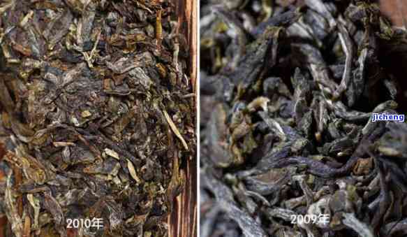 19年普洱茶：雨水少提升品质，多雨对口感有何作用？