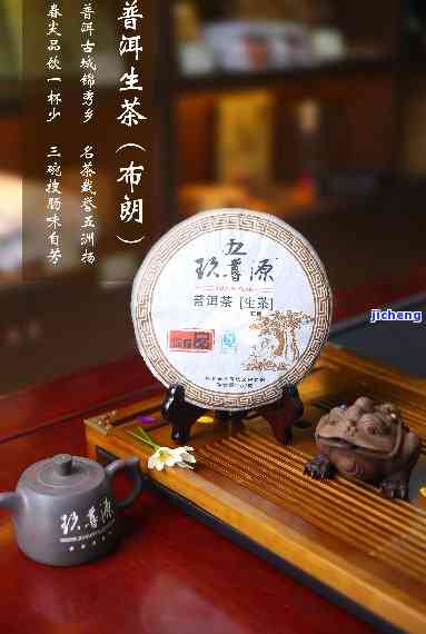 知茶叶普洱茶-普洱知春茶是什么茶