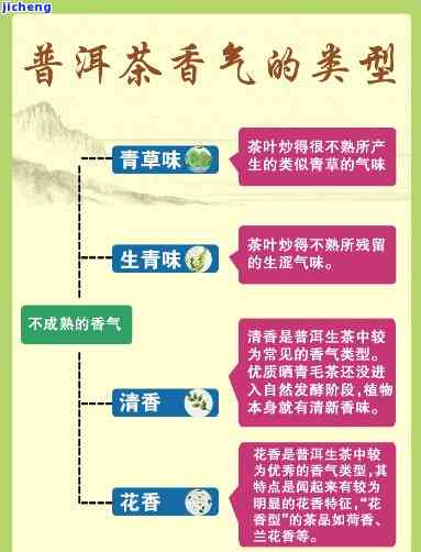 子香的普洱茶：特点、口感与分类全面解析