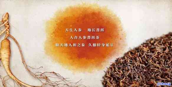 人参普洱茶，人参普洱茶：的完美结合