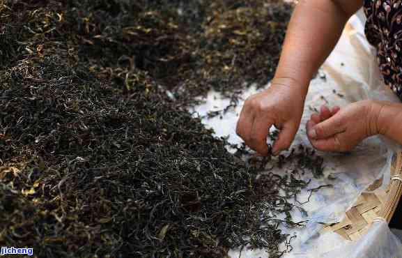 普洱茶制作方法，深入熟悉：普洱茶的制作方法与工艺