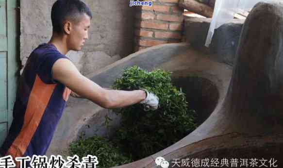 全程手工采普洱茶视频教程大全