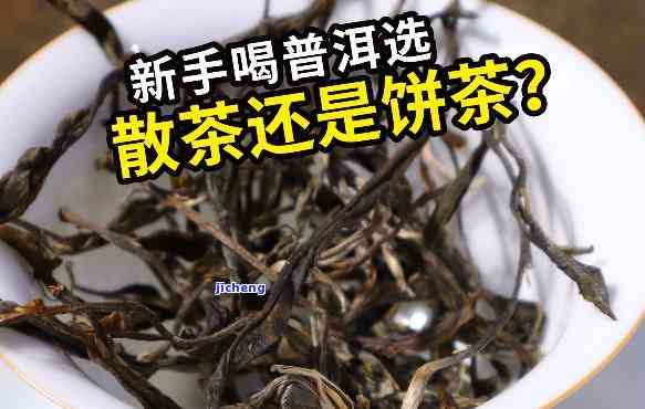 普洱茶送人：新茶or老茶？选择攻略