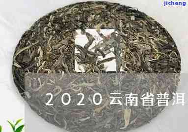 老普洱茶2020最新拍卖价及详情