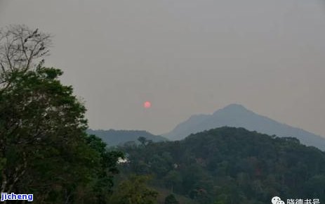 普洱茶地照片-普洱茶地图片