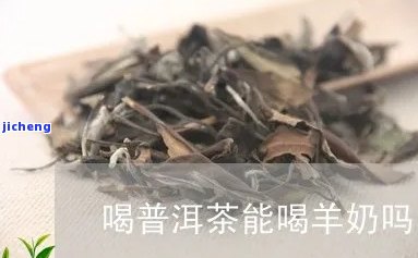 羊奶配普洱茶-羊奶配普洱茶可以喝吗