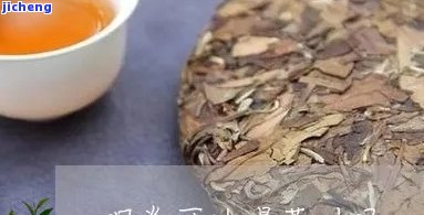 普洱茶对咽炎有好处吗，探究普洱茶对咽炎的疗效：科学解析与实证研究