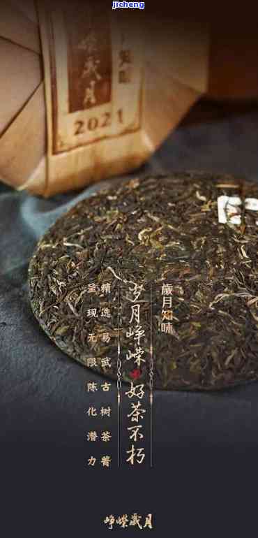 岁月年轮普洱茶，品味岁月痕迹：探索普洱茶的年轮之美