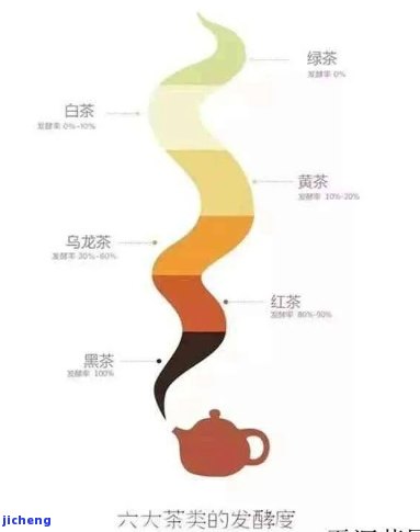 普洱茶后是什么茶？它是属于红茶还是绿茶，又是什么类型的茶类呢？