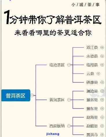 普洱茶口感分区，探索普洱茶的口感分区：品味不一样的味道世界