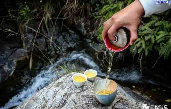 普洱茶与水质-普洱茶与水质的关系