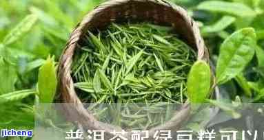 绿豆和普洱茶-绿豆和普洱茶一起喝吗