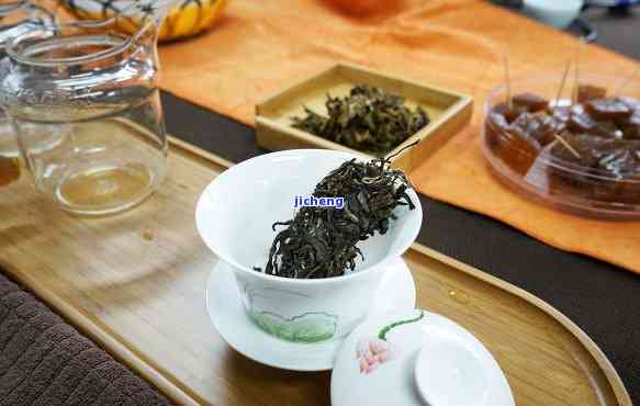 新茶群：探索茶与品鉴茶叶的去处