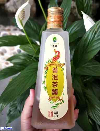 氼普洱茶醋的价格，探索优质生活：揭秘氼普洱茶醋的市场价格