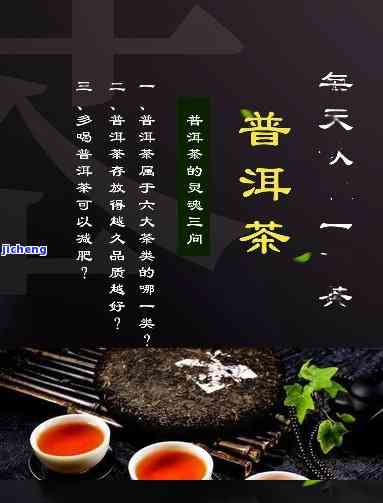 和普洱茶相关的词语，品味生活：探索与普洱茶相关的一切