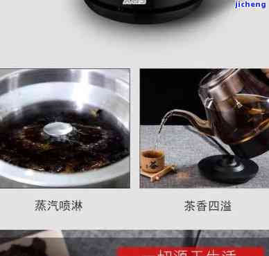 蒸煮熟普洱茶-蒸煮熟普洱茶能喝吗