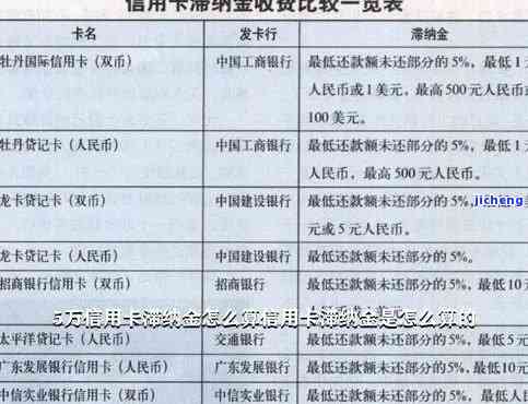 滞纳金信用卡逾期-滞纳金信用卡逾期怎么算