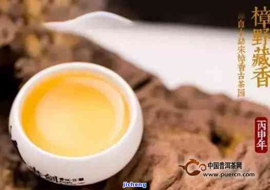 普洱茶参香和樟香区别，品味特别：揭秘普洱茶参香与樟香的区别