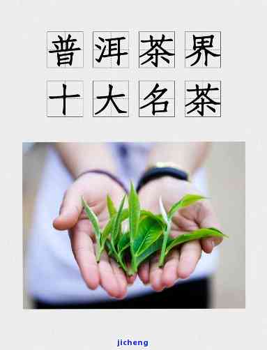 普洱茶外文名-普洱茶外文名字