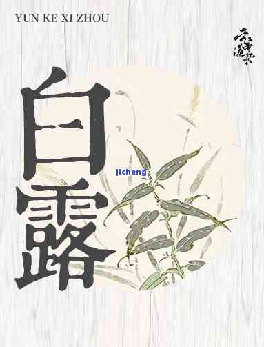 白露喝白茶，白露节气，品味清香——白茶的正确泡饮方法