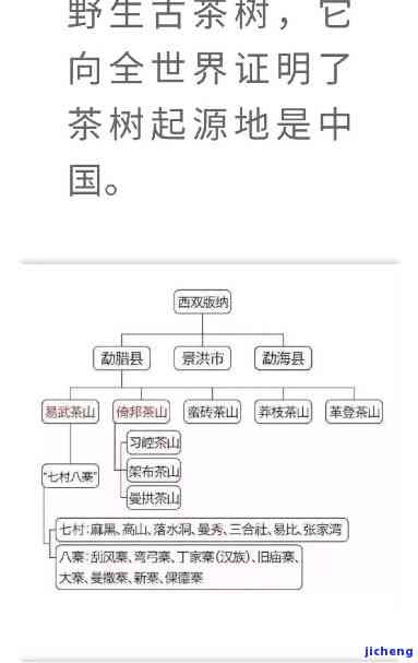 探索小众普洱茶的世界：推荐与山头解析