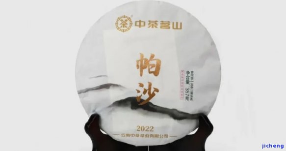 帕沙普洱茶：产地、特点及所属茶区全揭秘