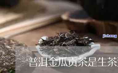 金瓜普洱茶的功效：揭示其健益处与作用