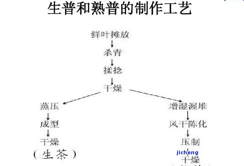 普洱茶的醇化-普洱茶的醇化过程