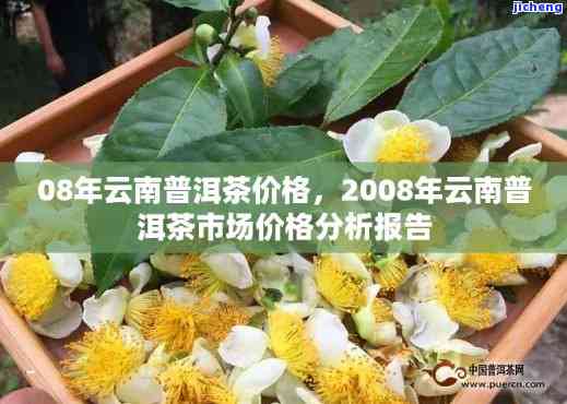 8年普洱茶价格表：全面收录2008年至现今的价格信息