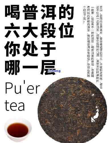 6号级普洱茶-普洱茶六级茶什么等级