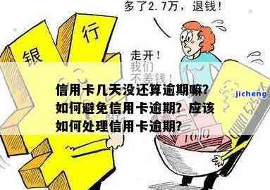 红参茶：作用、用法与禁忌全解析