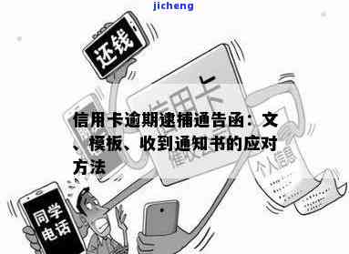 我今天收到信用卡逾期逮捕通知书，该怎么办？