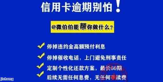 越南农茶价格多少？详细介绍及香气特点