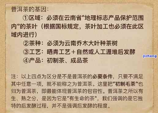 揭露普洱茶传销骗局：话术与揭秘全解析