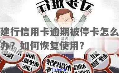 信用卡时逾期停卡怎么办，信用卡逾期后被停卡，应该怎么办？