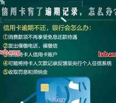 信用卡逾期录音备案流程，详细解析：信用卡逾期录音备案的流程