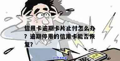 逾期信用卡停用了-逾期信用卡停用了,还能恢复吗